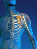 Orthopedic Surgery | Shoulder Injury | Knee Injury | Sports Injuries | Brooklyn